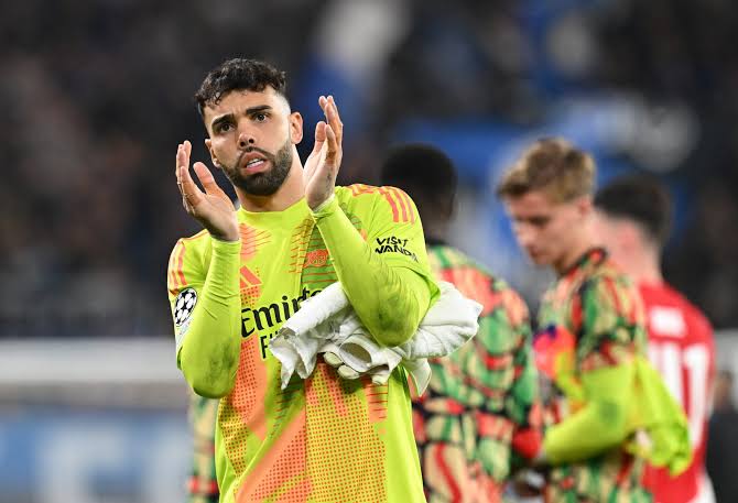 Arsenal fans all left blown away by David Raya heroics vs Atalanta, they make one bold statement