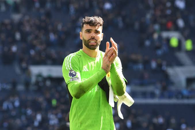 Arsenal fans rage at David Raya as Tottenham tunnel footage emerges