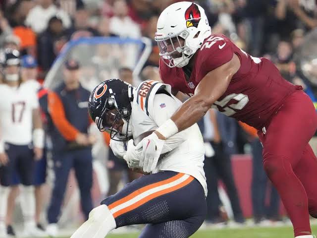 Report: What Went Wrong for Bears Against Cardinals